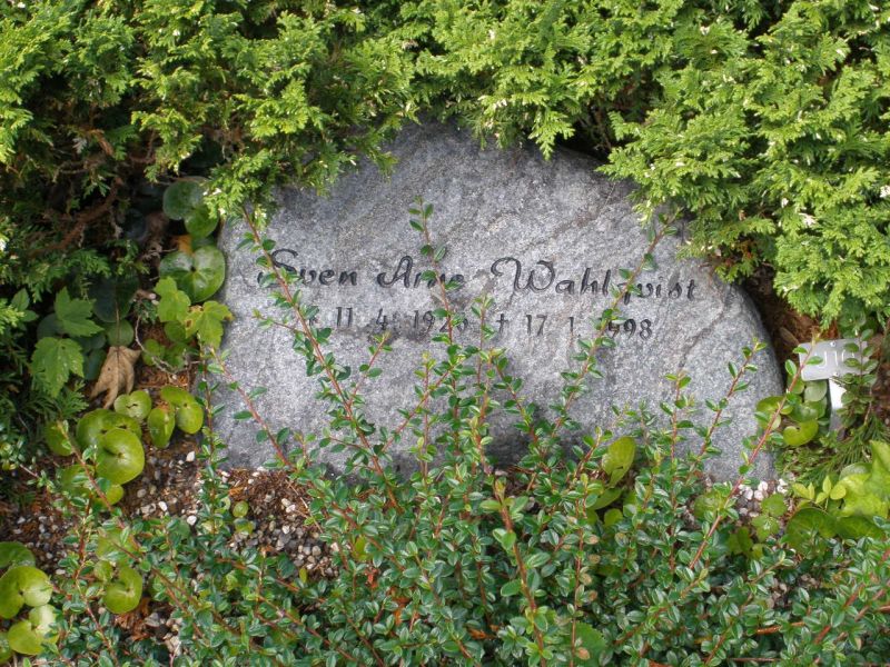 Sven Arne Wahlqvist.JPG
